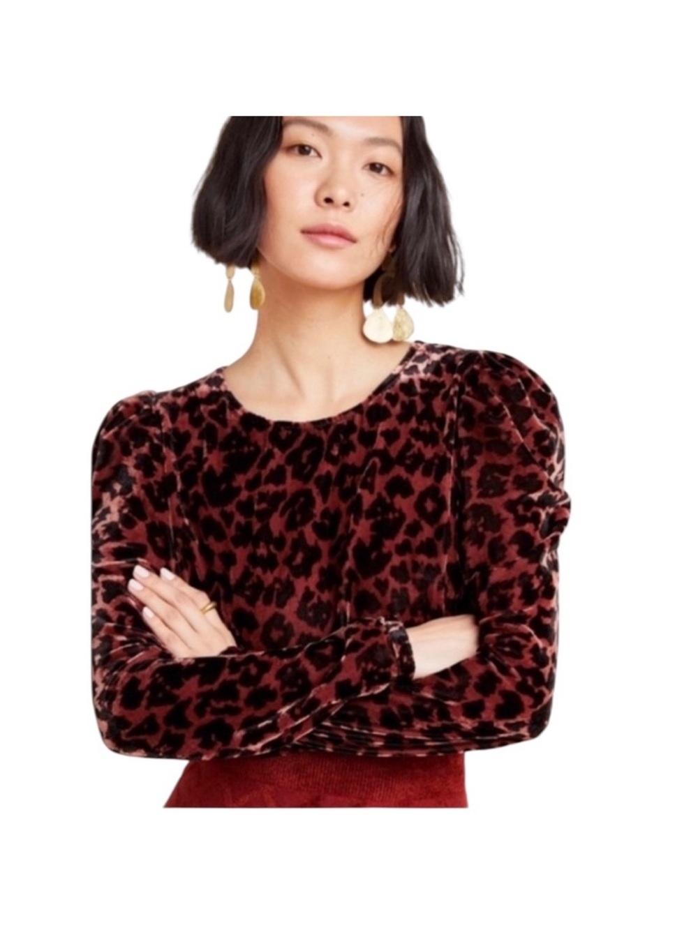 Leopard Velvet Puff-Sleeve Top Anthropologie Dolan large